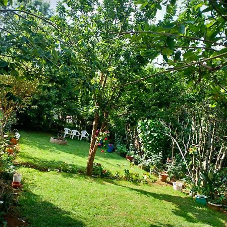 Pear Tree Inn Villa Kotagiri Exterior photo